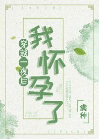 福運一生/穿越一夜後我懷孕了