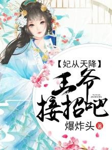 妃從天降，王爺接招吧